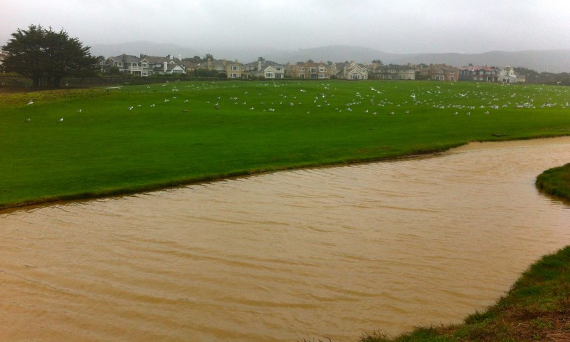 Not your usual sand trap