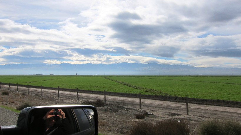 A field somewhere along I-5
