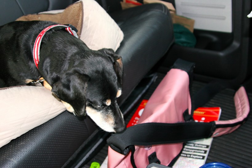 Lilly, looking unimpressed