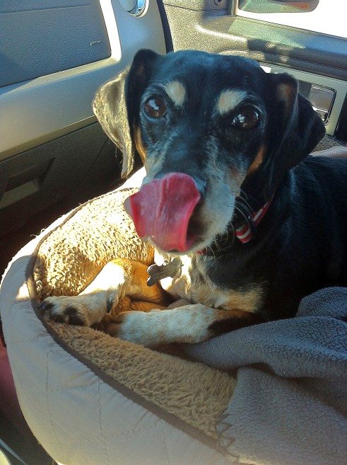 Enjoying a post hike treat