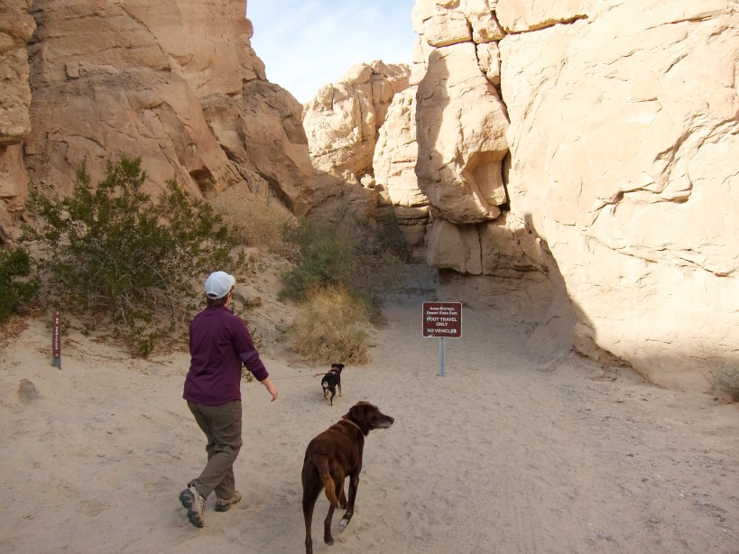 Approaching the trails - Lilly and Phineas leading the way