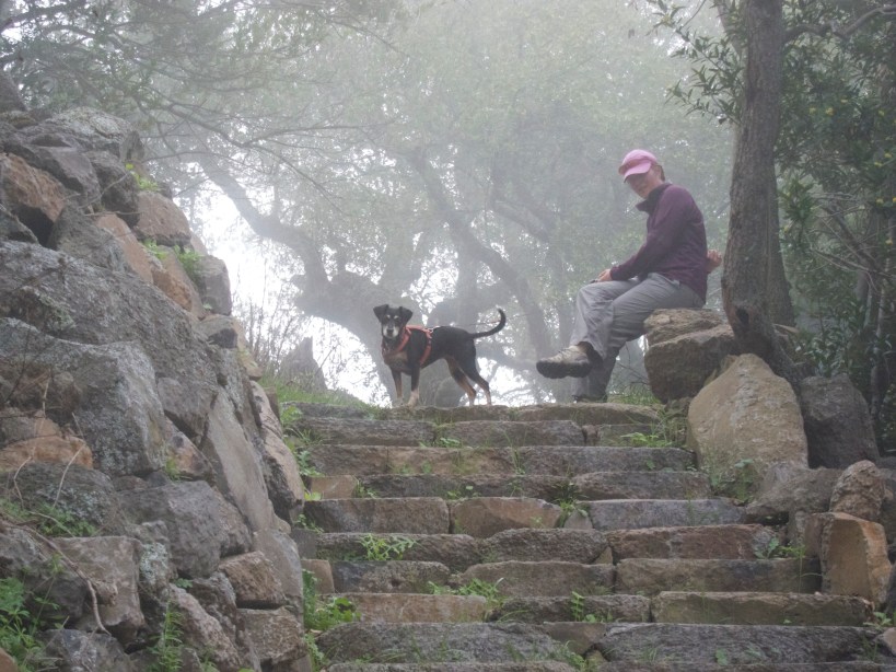 Lilly, impatiently waiting for me near the top