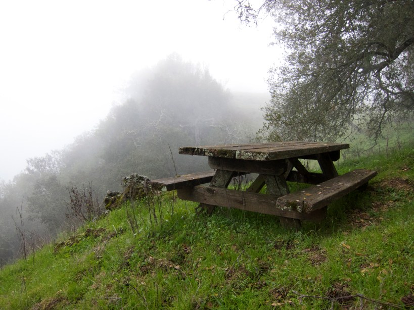 One of the scenic overlook picnic tables