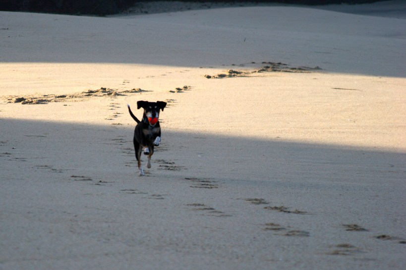 Returning with her bal