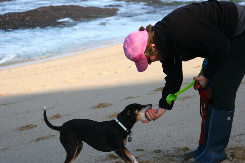 A bit of tug before another round of chase