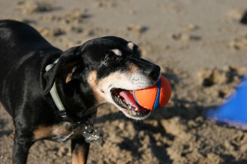 Tired and ready to go home