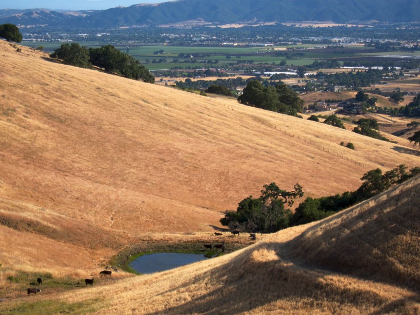 Hillside hike with views overlooking the town of Gilroy, CA