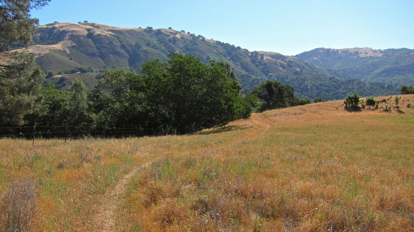 The rolling hillside