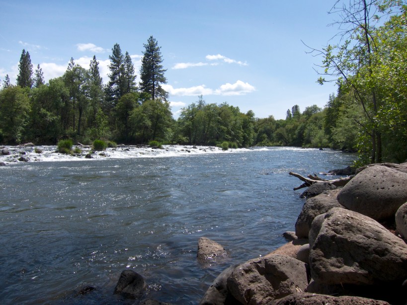 Banks of the Pit River