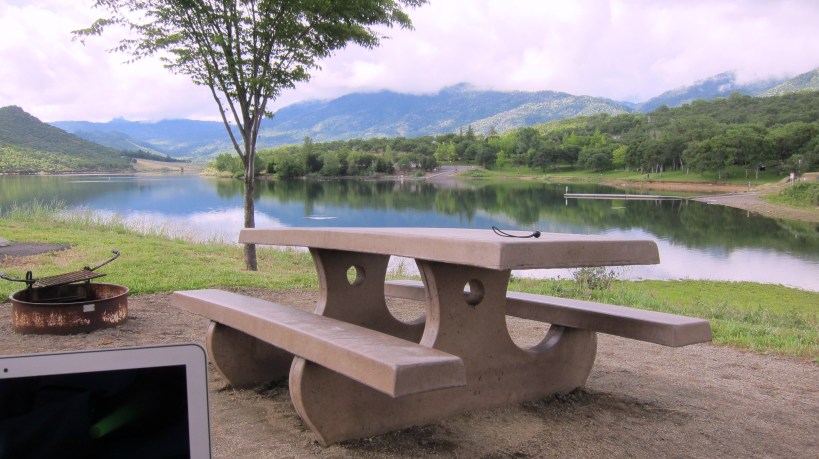 My office view this week.