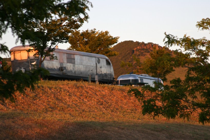 Our silver neighbors 