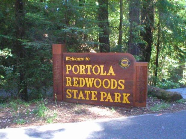43_PortolaRedwoodsSP