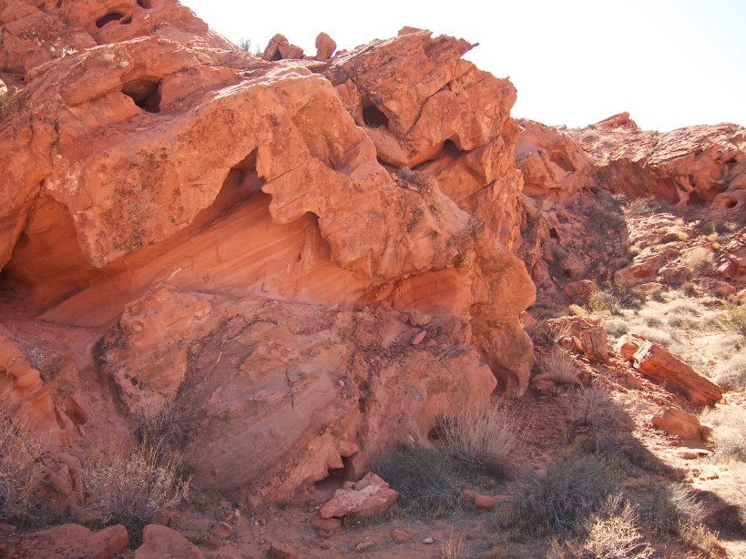 Crazy erosion patterns