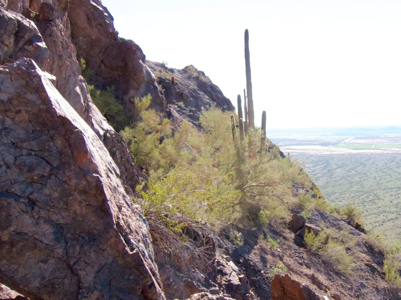 IMG_3534 - Version 2