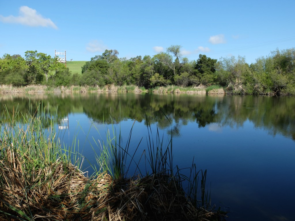 Arastradero Lake
