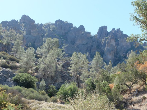 DSCF9648