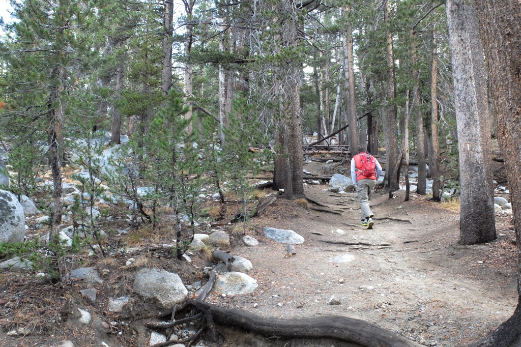 Chris, headed towards Dog Lake 