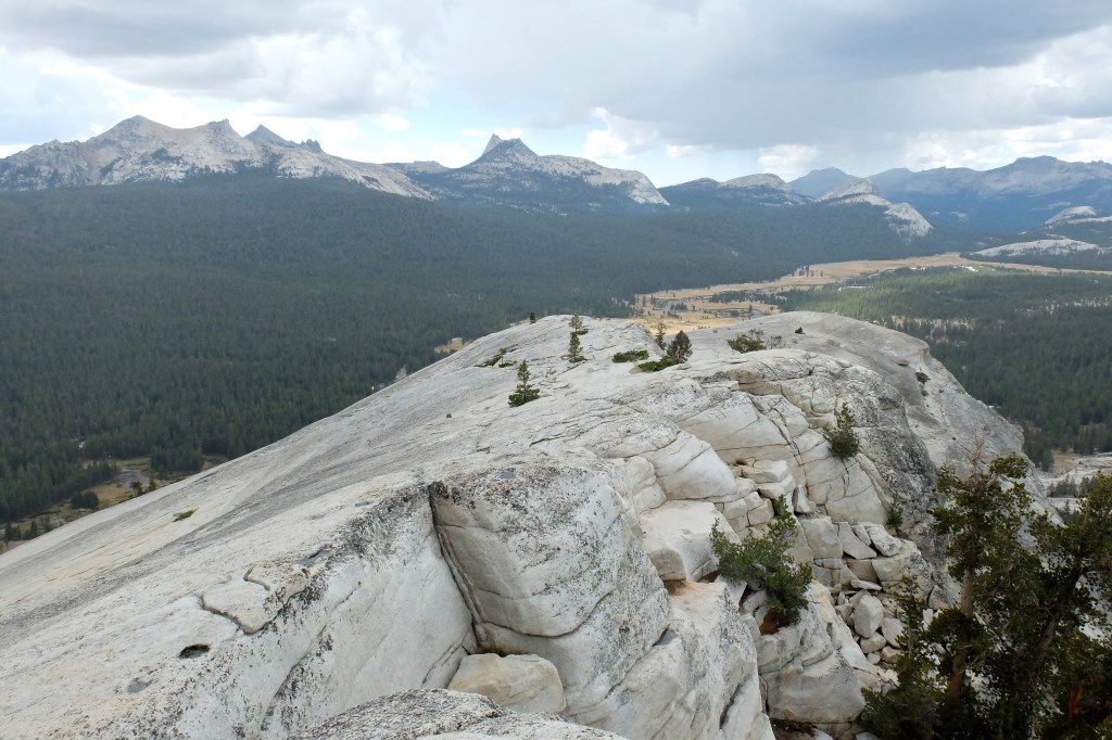 Overlooking Tuolumne Meadow from the top of Lambert Dome