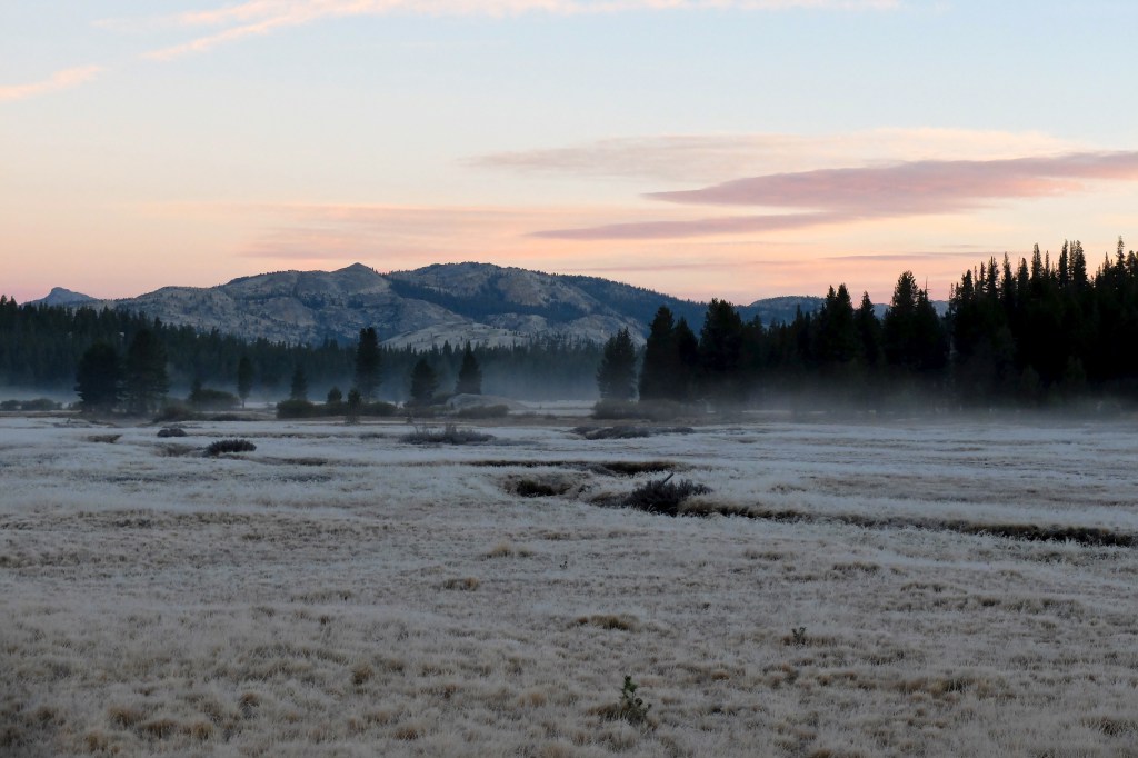 Early morning frost at Tuolumne Meadow