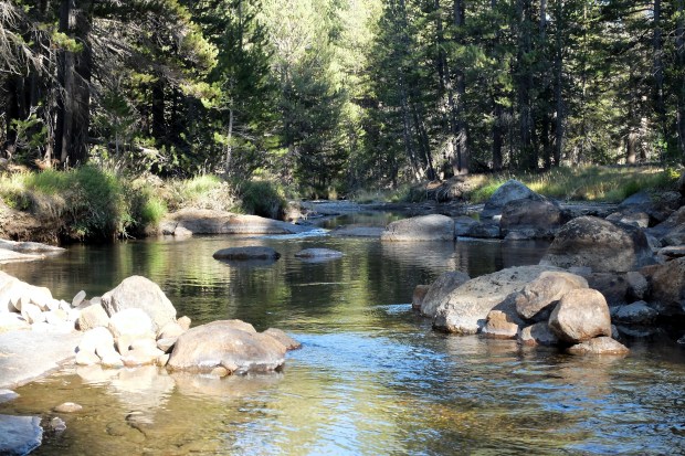 Tuolumne River next to our site