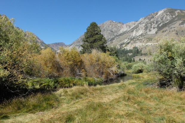Lee Vining Canyon