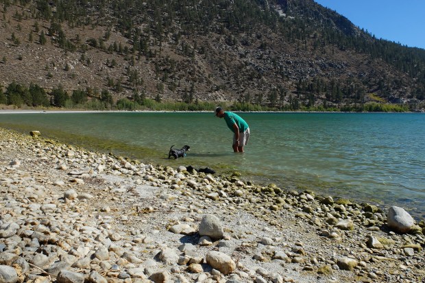 Playing with Lilly in June Lake