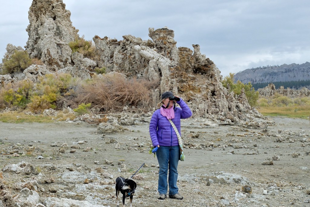 Mono Lake