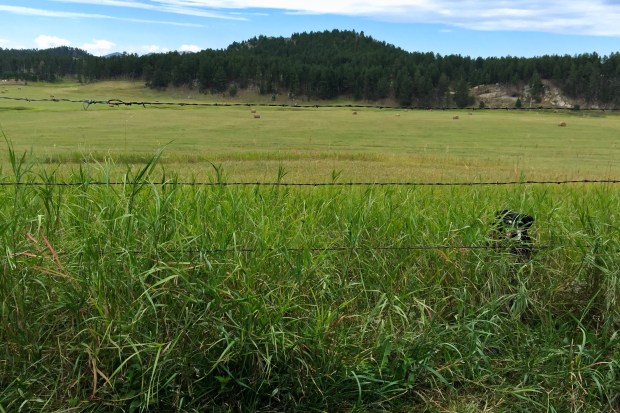 {"focusMode":1,"deviceTilt":0.03291550477082339,"whiteBalanceProgram":0,"macroEnabled":false,"qualityMode":3}