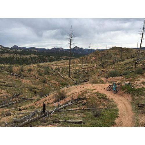 the-downhill-was-worth-it_21147379425_o