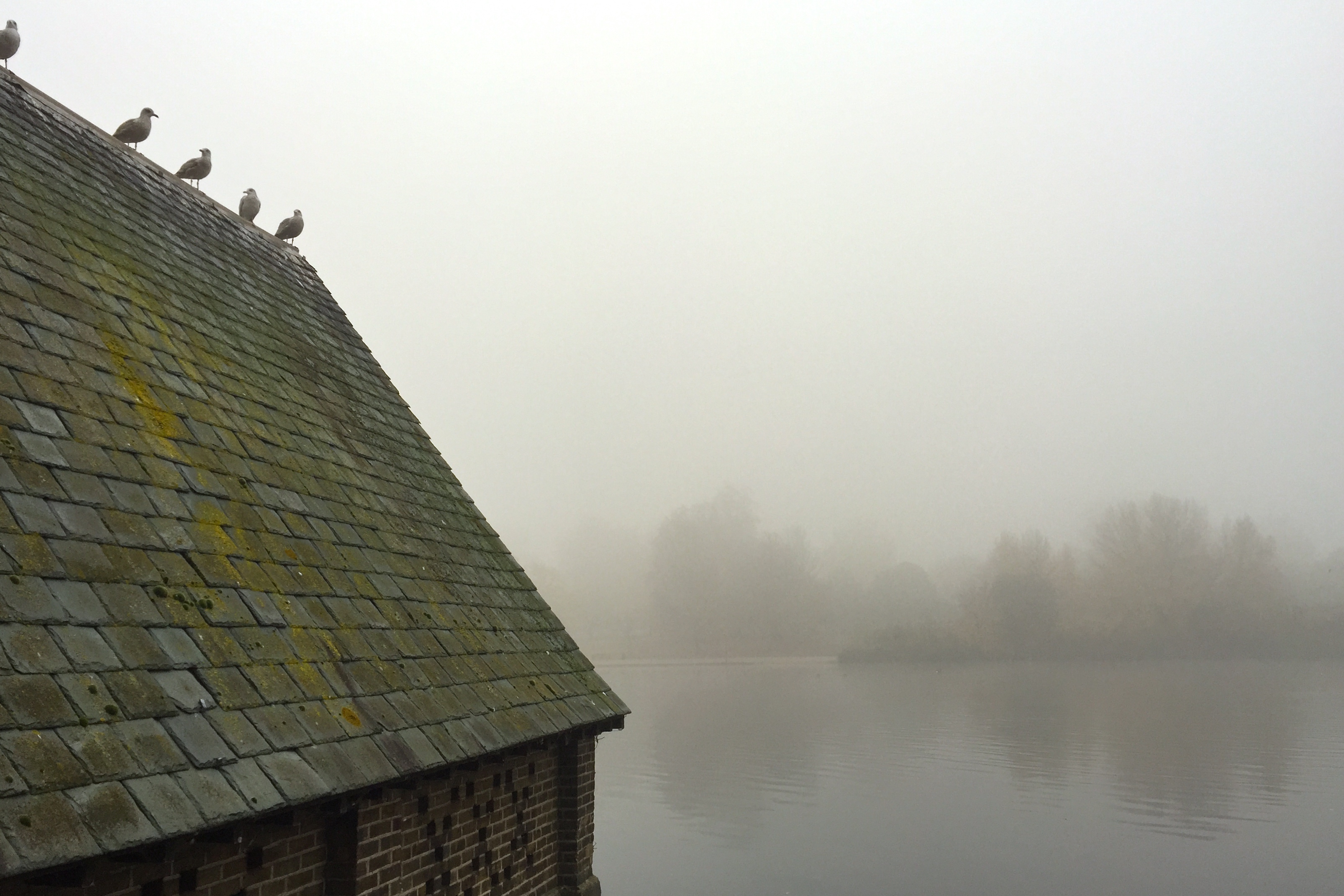 22651869914_d7ed10816e_o