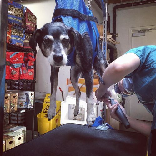 27426933056_0854e8c2b2_o