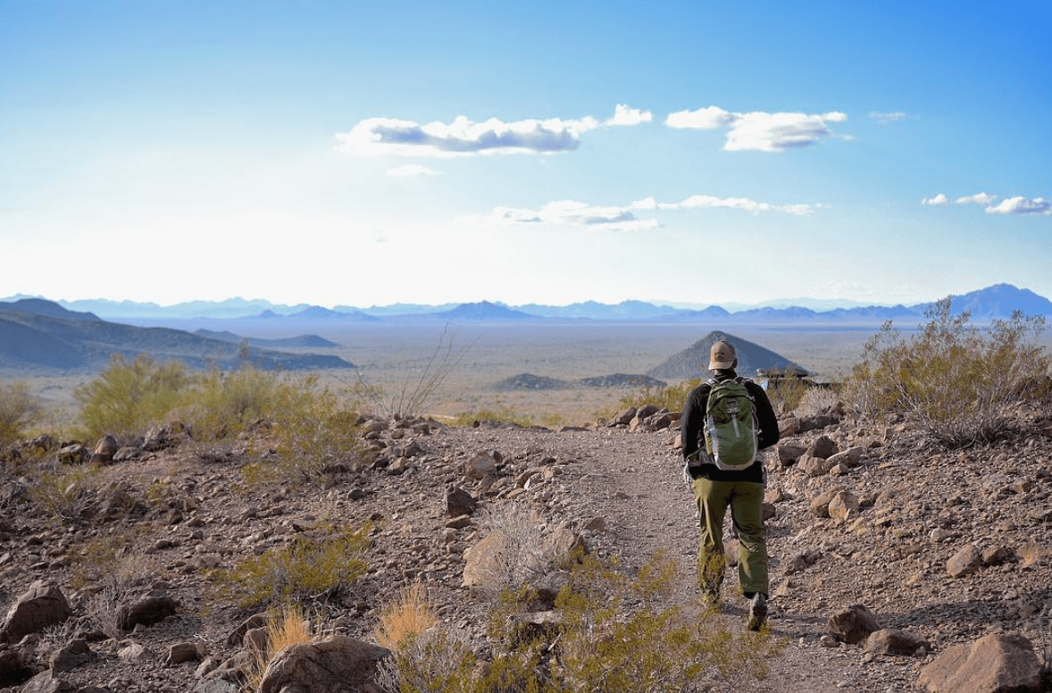 screen-shot-2017-01-02-at-8-49-48-pm