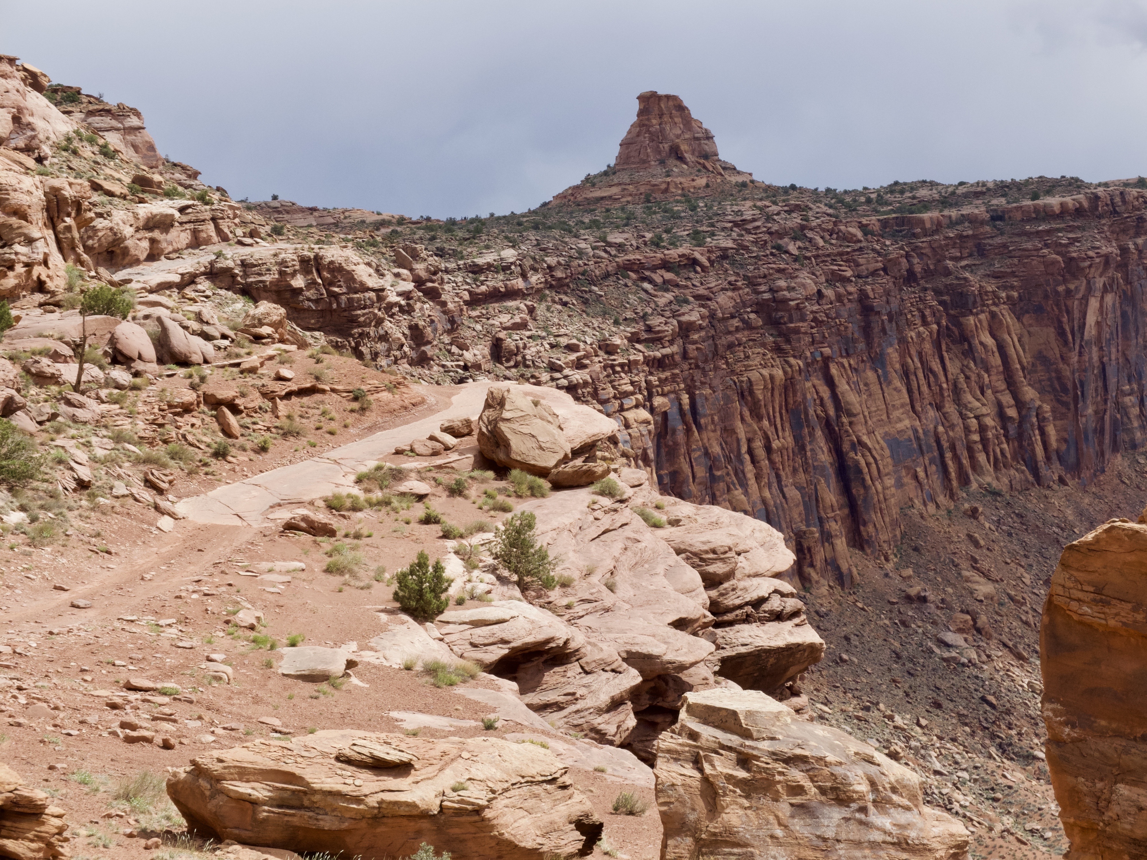 01CDD7E7-7274-4F57-8BD3-D592EC08A588