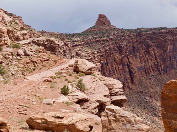 01CDD7E7-7274-4F57-8BD3-D592EC08A588