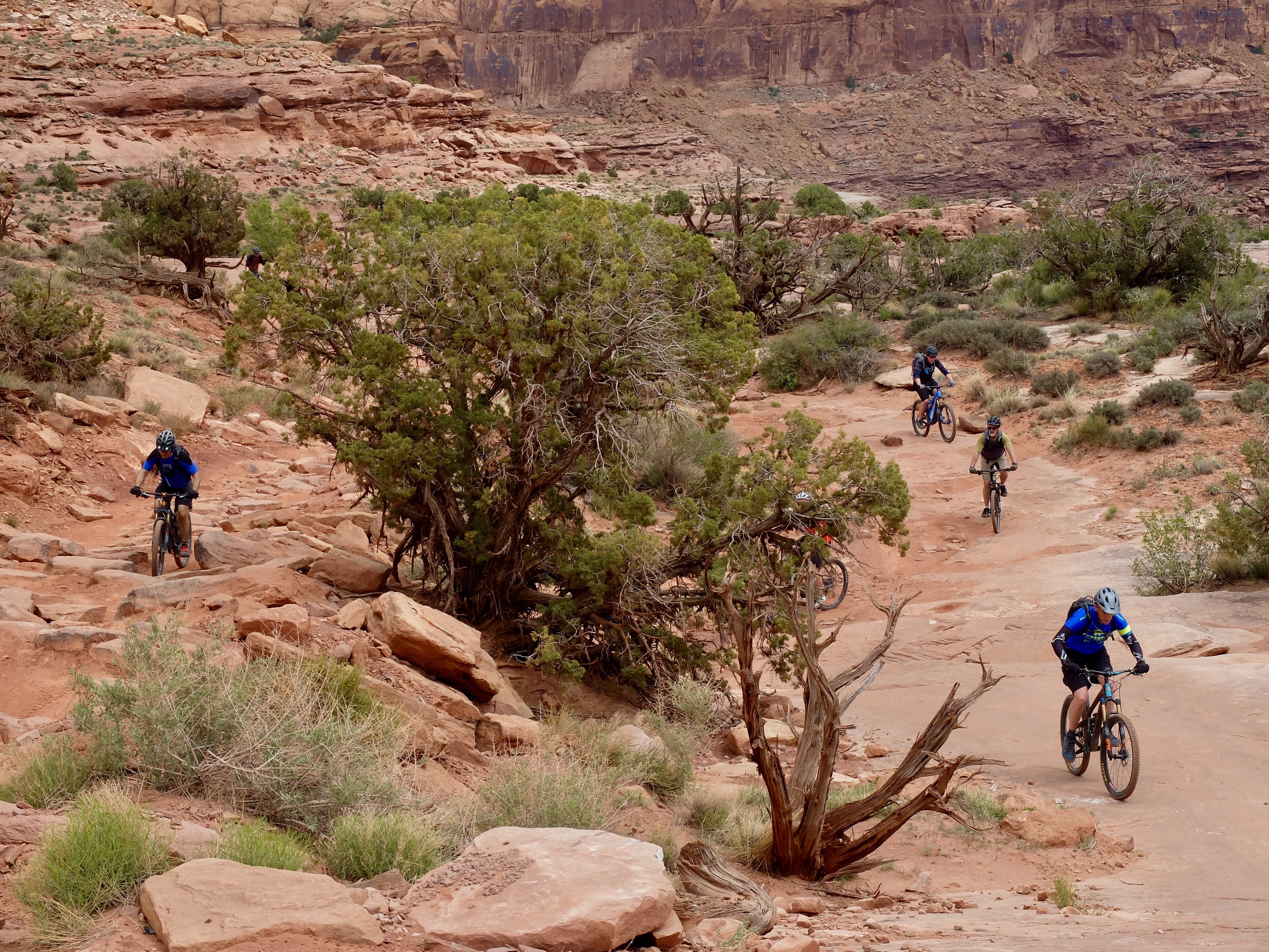 1C81327B-BF91-446B-95B0-F4BD9172A26A