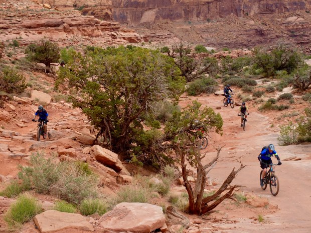 1C81327B-BF91-446B-95B0-F4BD9172A26A