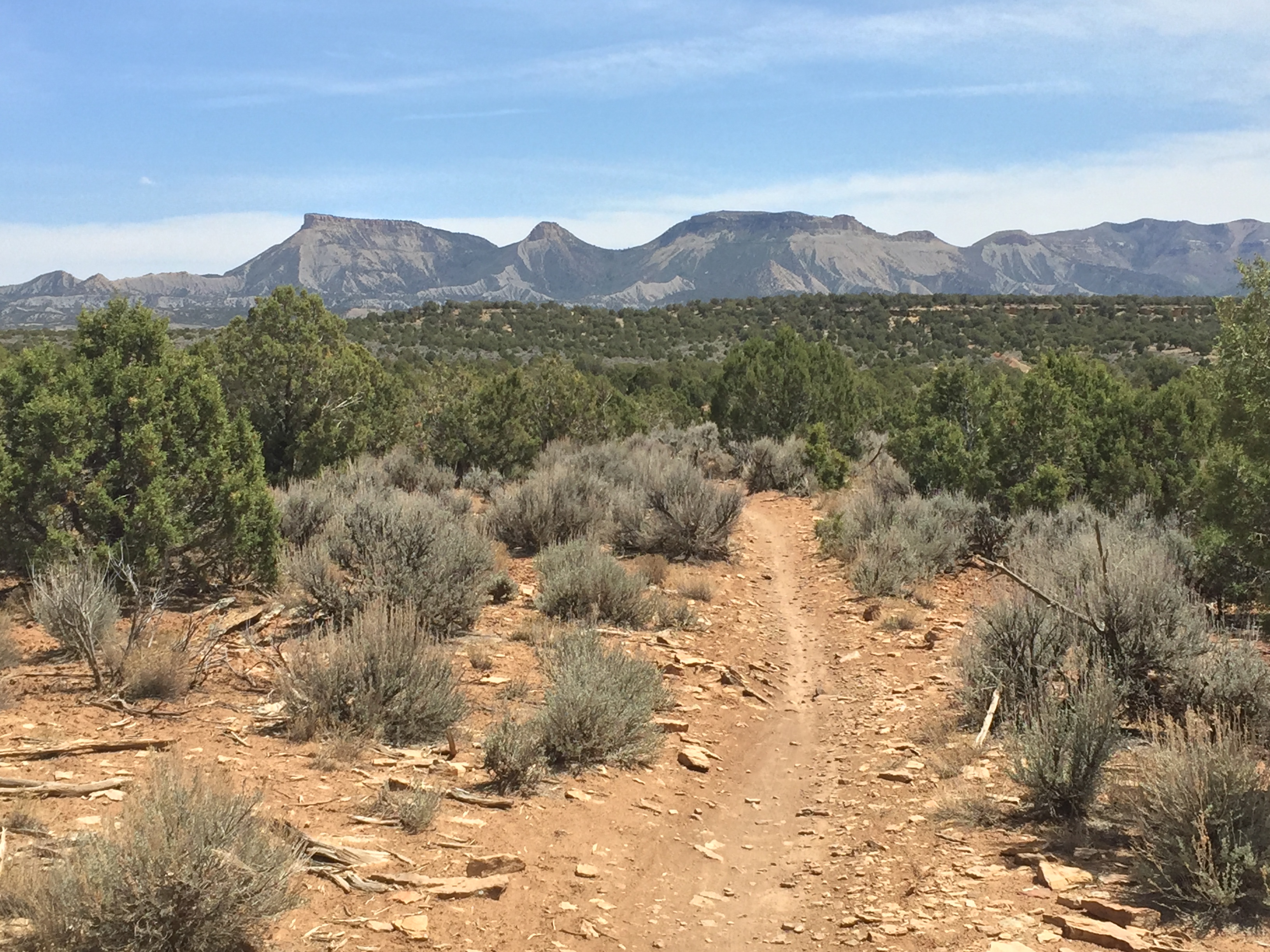 206B74C4-C27B-4808-81B3-2196FE17494D