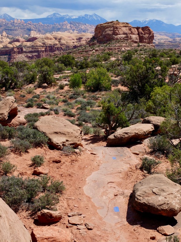 3C93786B-0F25-406E-B818-EA85FF643844