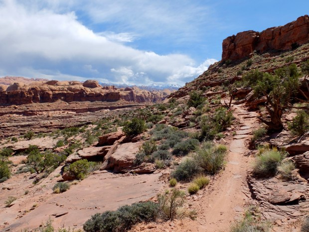 4BC52C4C-5A61-4696-B247-5D87DDBAAA6A