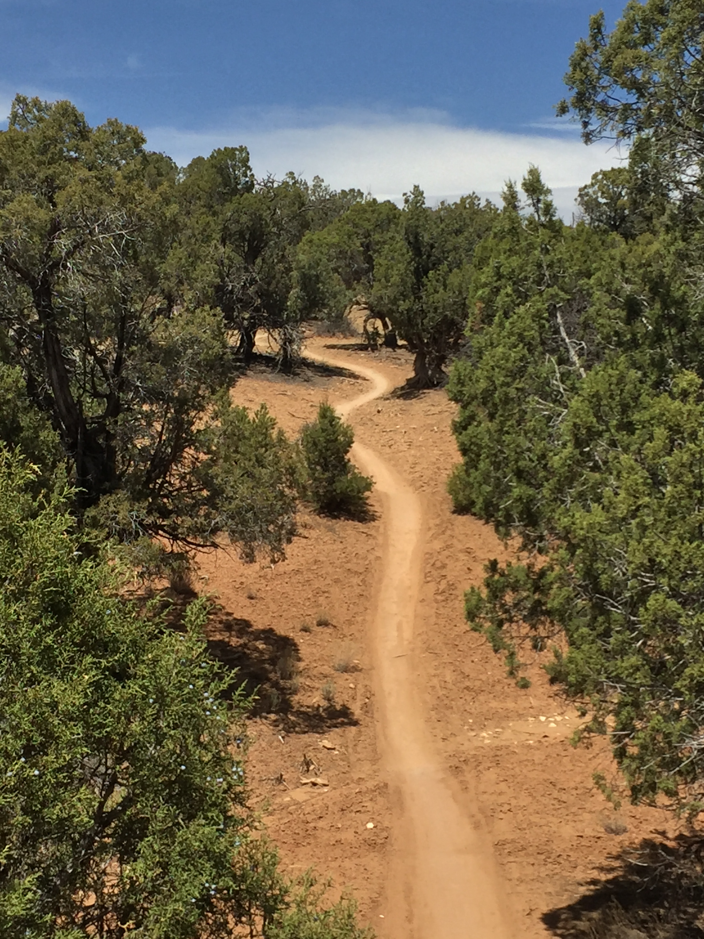 79FED2C9-FEF1-4A69-8437-0AA5267828A8