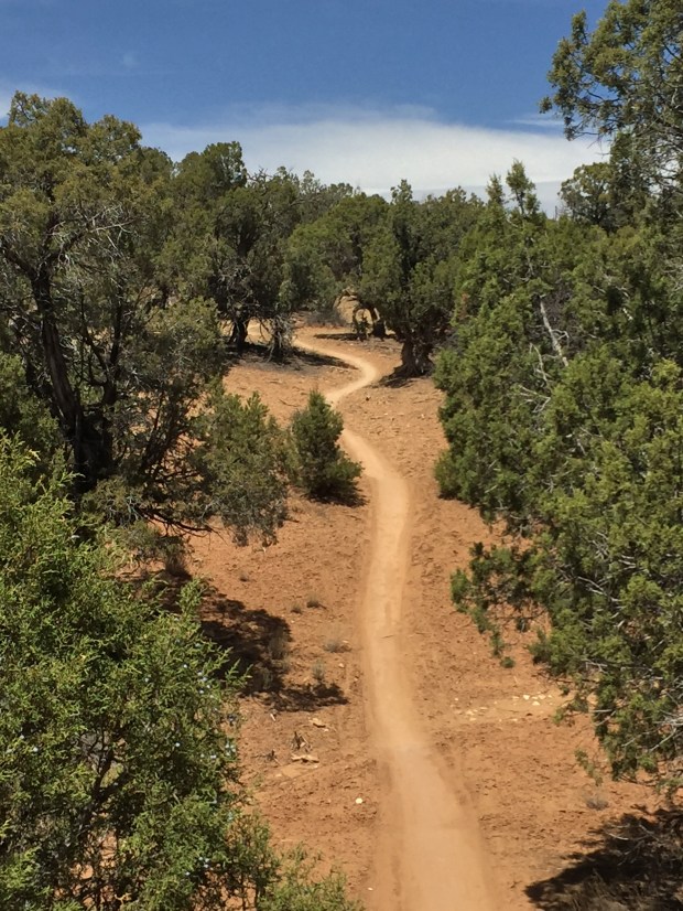 79FED2C9-FEF1-4A69-8437-0AA5267828A8