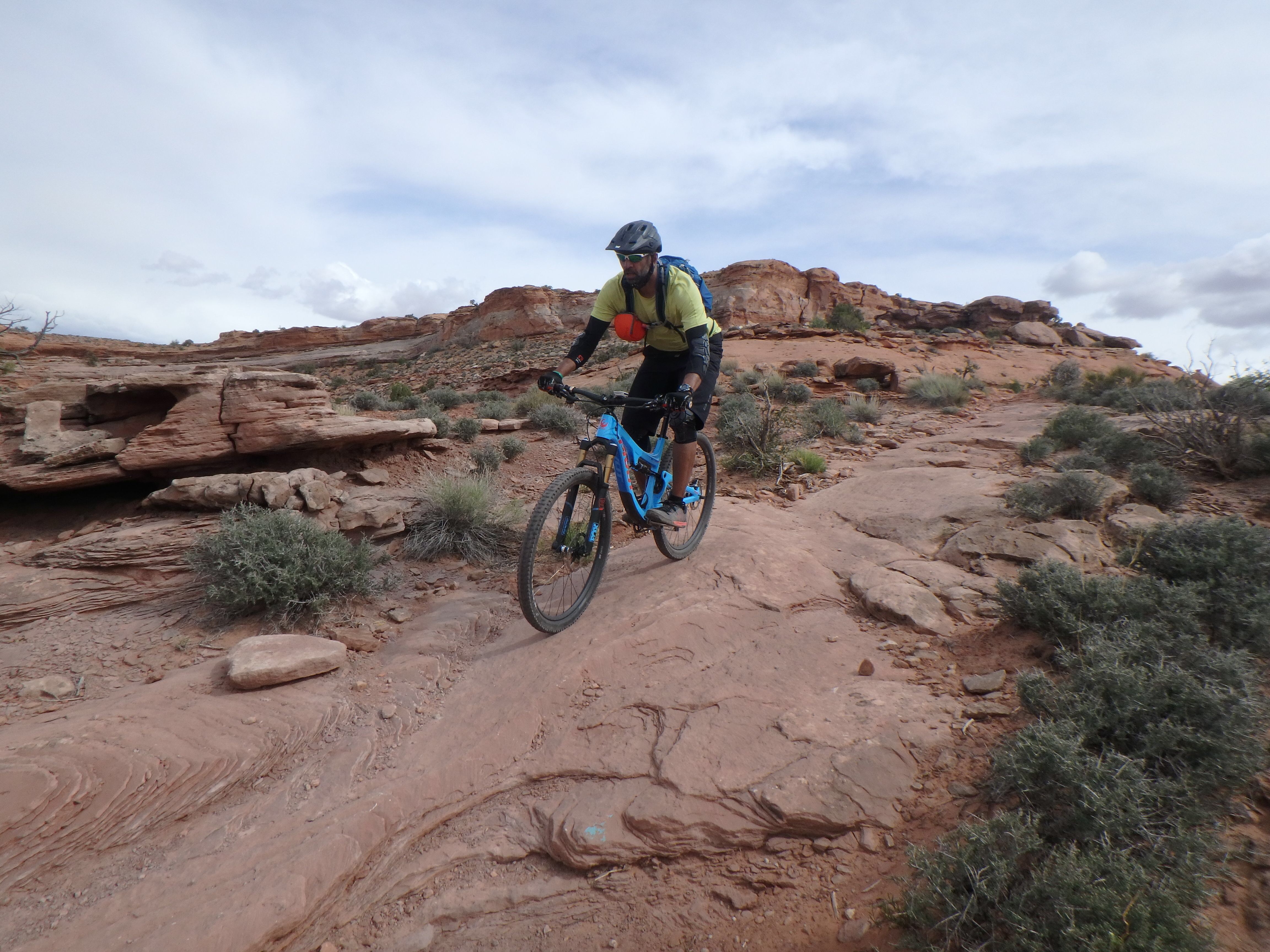 92D15495-9C89-4EB8-92BB-260B591D65F2