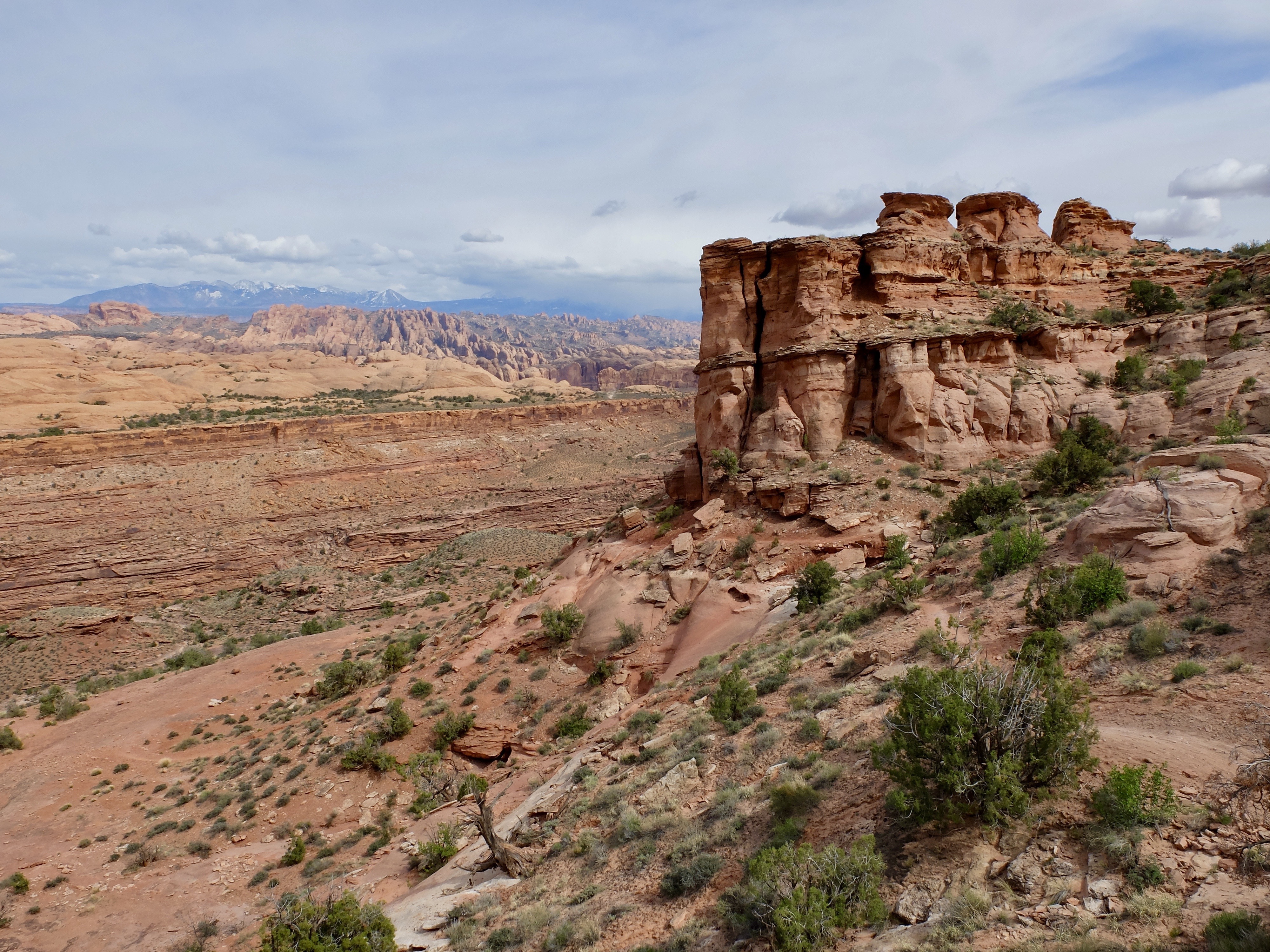 9C799640-9BCA-49C3-B9E5-8C4E3E9CDEE2