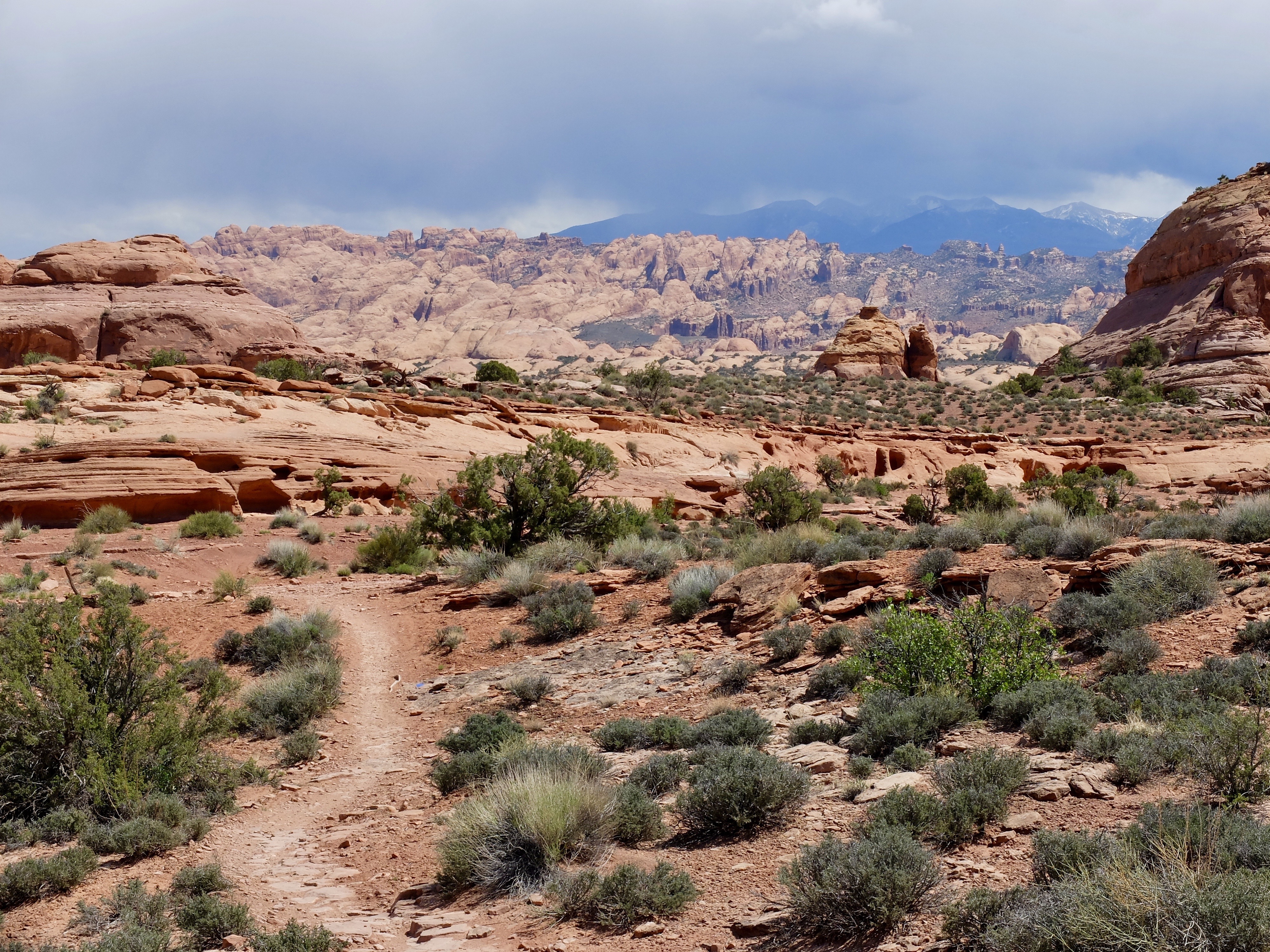 9CCA42C5-76B1-4E98-86D3-4E1671B1BDCC