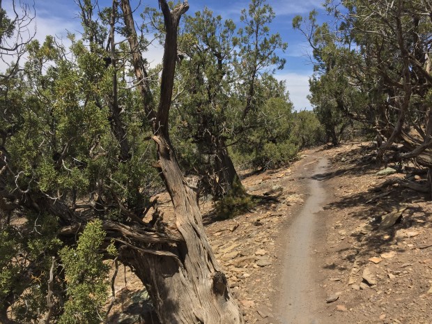 9F5CB398-E7CD-494D-B542-27980FA89556