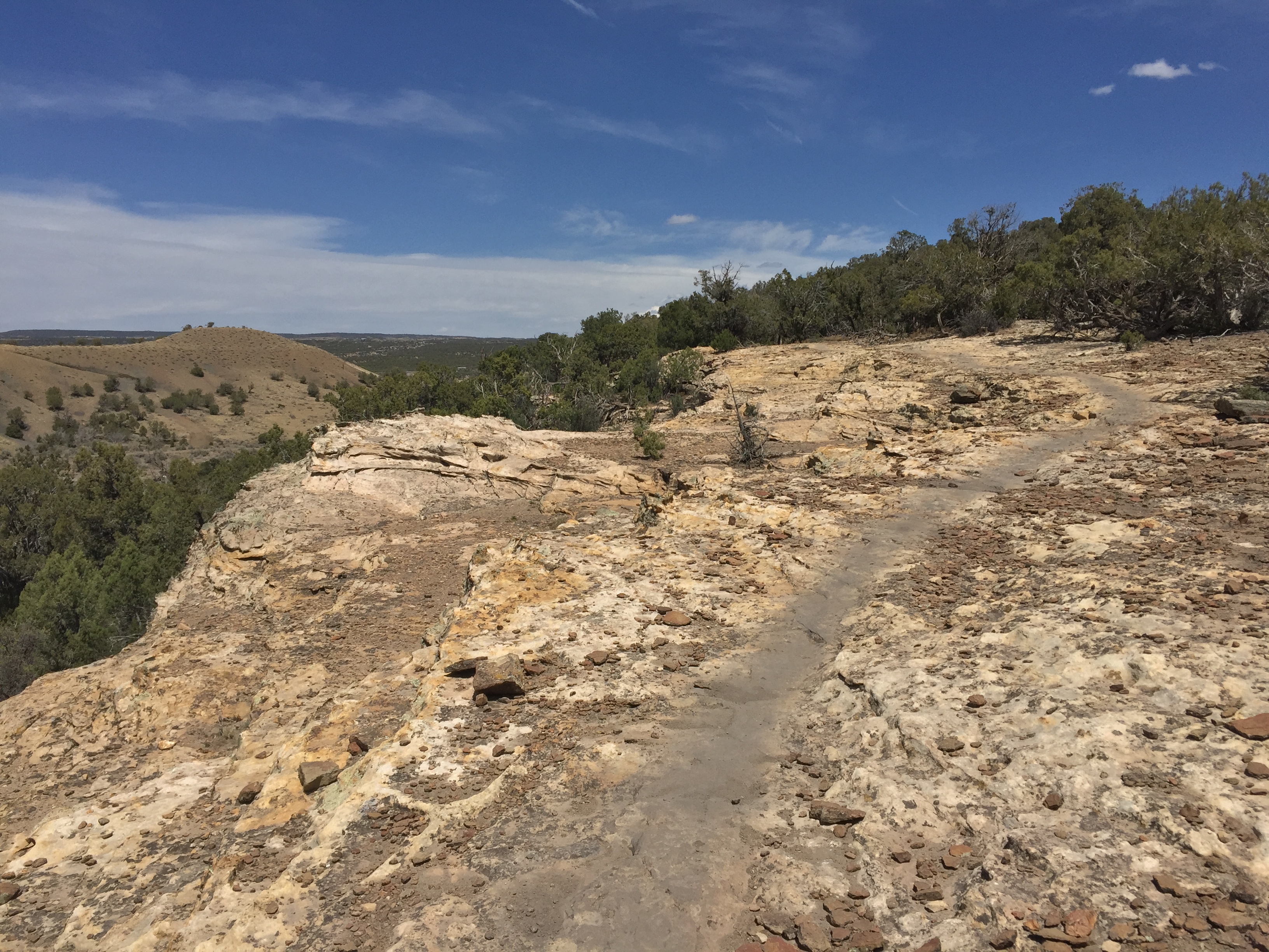 B89E549A-D52D-492C-B016-68721ACE9BD7