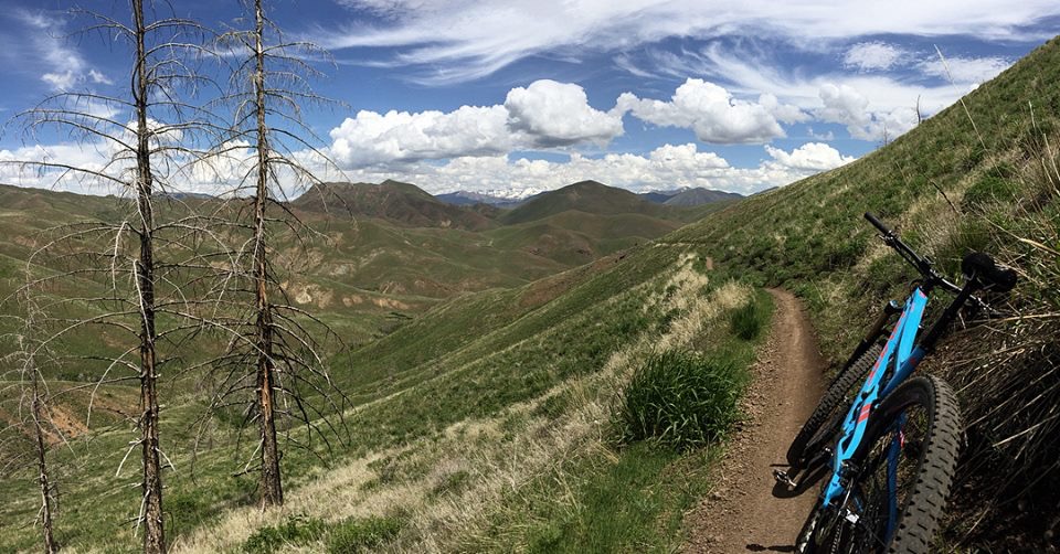 0525ED96-6CA4-443D-A83C-FC6492E34E23