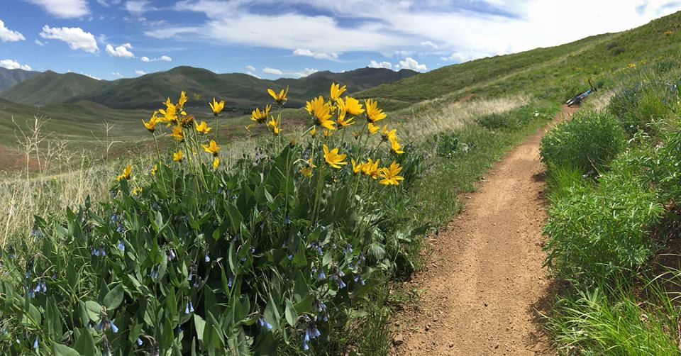 1A5E82CC-0188-4259-BA98-69406FD9704A