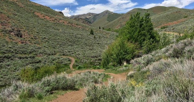 36D0A7FD-3494-4C4D-A11C-399EC768DA25