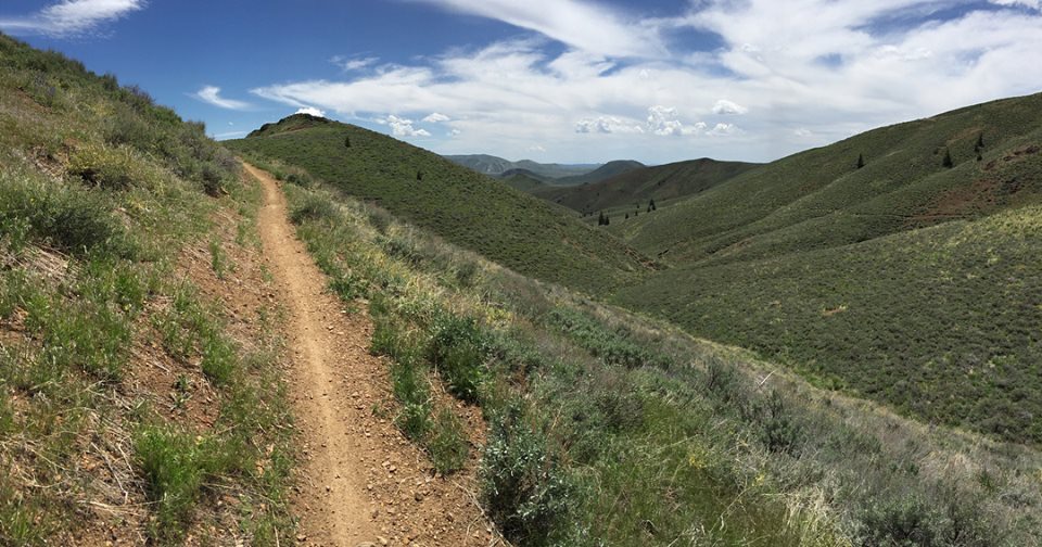 DE9C1FA5-A7A5-4E52-9E59-53AF006CB938